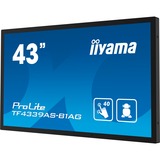 iiyama TF4339AS-B1AG, Public Display Nero (opaco)
