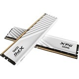 ADATA DIMM 32 GB DDR5-6000 (2x 16 GB) Dual-Kit, Memoria bianco
