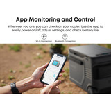 Anker SOLIX EverFrost 2 borsa frigo 40 L Elettrico Nero, Scatola cool grigio/Nero, Nero, 2 ruota(e), Nero, 40 L, -20 - 20 °C, 45 dB