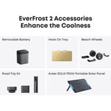 Anker SOLIX EverFrost 2 borsa frigo 40 L Elettrico Nero, Scatola cool grigio/Nero, Nero, 2 ruota(e), Nero, 40 L, -20 - 20 °C, 45 dB