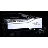 G.Skill F5-6000J2836G16GX2-TR5NS, Memoria argento