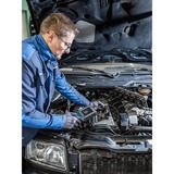 Hazet Endoscopio video HD 4812-11/5FS, set di 5 pezzi, Macchina fotografica di ispezione grigio