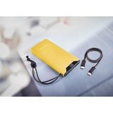 Intenso F10000 Yellow, 7332039, Powerbank  giallo