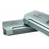 Patriot Custodia SSD VXD M.2 PCIe RGB, Disk enclosure argento