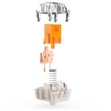 Razer Orange Switch-Set, Interruttore a pulsante arancione /trasparente