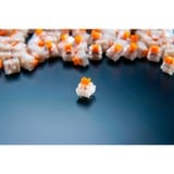 Razer Orange Switch-Set, Interruttore a pulsante arancione /trasparente