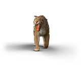 Schleich 15054, Gioco figura 