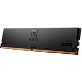 Team Group CTCMD5128G6000HC32AOC01 Nero