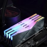 ADATA AX5CU8400C4024G-DCLACRSG, Memoria argento