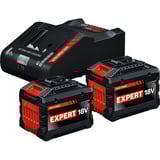 Bosch Set di avvio EXPERT 18V, 2x EXBA 18V-150 + caricabatterie EXAL18V-160 Nero