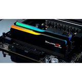 G.Skill F5-6000J3636F32GX2-RM5NRK, Memoria Nero