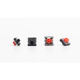 Keychron G190, Interruttore a pulsante trasparente