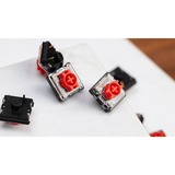 Keychron G190, Interruttore a pulsante trasparente