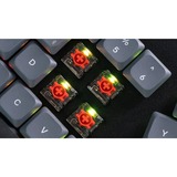 Keychron G190, Interruttore a pulsante trasparente