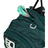 Osprey 10005081, Zaino verde scuro