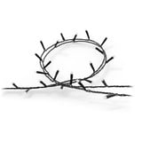 Philips Hue Hue White & Color Ambiance Catena Luminosa Festavia 20m, Lichterkette 