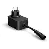 Philips Hue Hue White & Color Ambiance Catena Luminosa Festavia 20m, Lichterkette 