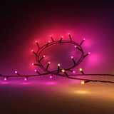 Philips Hue Hue White & Color Ambiance Catena Luminosa Festavia 20m, Luci a stringa 