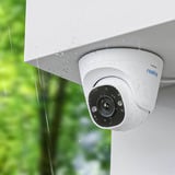 Reolink P324 bianco