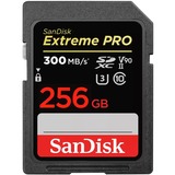 SanDisk SDSDXDK-256G-GN4IN Nero