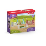 Schleich 42612, Gioco figura 