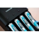 Ansmann 800 mAh - Micro / AAA / HR03 Mini Stilo AAA Nichel-Metallo Idruro (NiMH) argento, Mini Stilo AAA, Nichel-Metallo Idruro (NiMH), 1,2 V, 800 mAh, 10.5 x 44.5