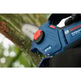 Bosch F016800662, Sega a catena 