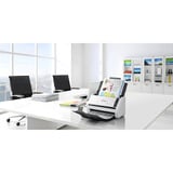 Epson WorkForce DS-530 III, Input scanner grigio/Nero