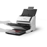 Epson WorkForce DS-530 III, Input scanner grigio/Nero