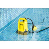 Kärcher 1.645-810.0, Pompe immersione e pressione giallo/Nero