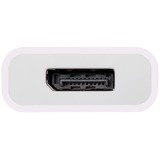 OWC Adattatore USB, connettore USB-C > presa DisplayPort bianco