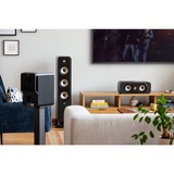 Polk Audio Signature Elite ES15, Altoparlante Nero