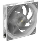 RAIJINTEK 0R10B00234, Raffreddamento ad acqua bianco