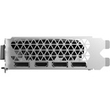 ZOTAC ZT-A30510G-10L, Scheda grafica 