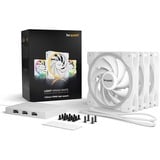 be quiet! Light Wings White 120 mm PWM high-speed Triple Pack bianco