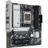 ASUS 90MB1J10-M0EAYC, Scheda madre 