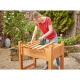 Bosch EasySander 18V-8 Levigatrice orbitale 22000 OPM Nero, Verde, Multi Sander verde, Levigatrice orbitale, Nero, Verde, 22000 OPM, 1,6 mm, Batteria, 2,5 Ah