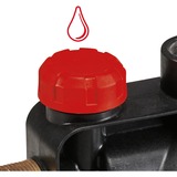 EINHELL GC-GP 6040 ECO 600 W 3,6 bar 4000 l/h rosso/Nero, 600 W, AC, 3,6 bar, 4000 l/h, Antigelo, Nero, Rosso