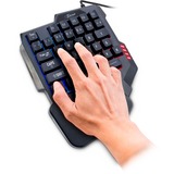 Inter-Tech KB-3035 tastiera USB QWERTY Nero Nero, Mini, USB, QWERTY, LED RGB, Nero