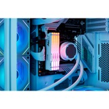 Kingston FURY FURY Beast 32 GB 5200 MT/s DDR5 CL40 DIMM (Kit da 2 moduli) White RGB XMP, Memoria bianco, 32 GB, 2 x 16 GB, DDR5, 288-pin DIMM