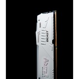 Kingston FURY KF552C40BWAK2-32, Memoria bianco