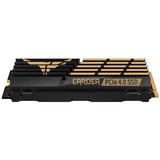 Team Group CARDEA A440 1 TB Nero/Oro