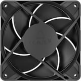 ARCTIC ACFAN00305A      Nero