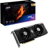 Acer DP.Z4CWW.P01, Scheda grafica 
