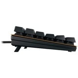 CHERRY KC 200 MX tastiera Universale USB QWERTZ Tedesco Nero, Bronzo Nero/Bronzo, Full-size (100%), Cablato, USB, Interruttore a chiave meccanica, QWERTZ, Nero, Bronzo