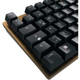 CHERRY KC 200 MX tastiera Universale USB QWERTZ Tedesco Nero, Bronzo Nero/Bronzo, Full-size (100%), Cablato, USB, Interruttore a chiave meccanica, QWERTZ, Nero, Bronzo
