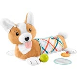 Fisher-Price HJW10, Peluche animali 