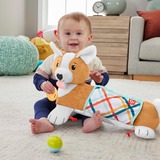 Fisher-Price HJW10, Peluche animali 