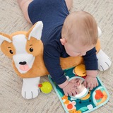 Fisher-Price HJW10 giocattolo educativo, Peluche animali 0 anno/i, Plastica, Multicolore