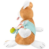 Fisher-Price HJW10 giocattolo educativo, Peluche animali 0 anno/i, Plastica, Multicolore